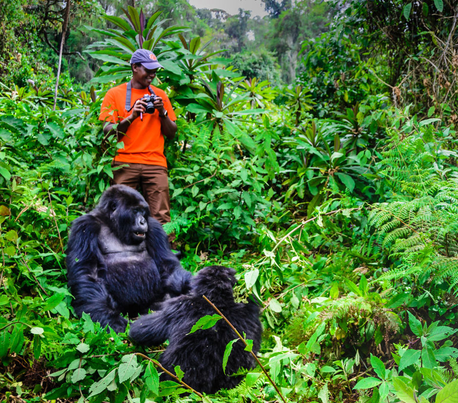 9 days rwanda - uganda gorilla trekking